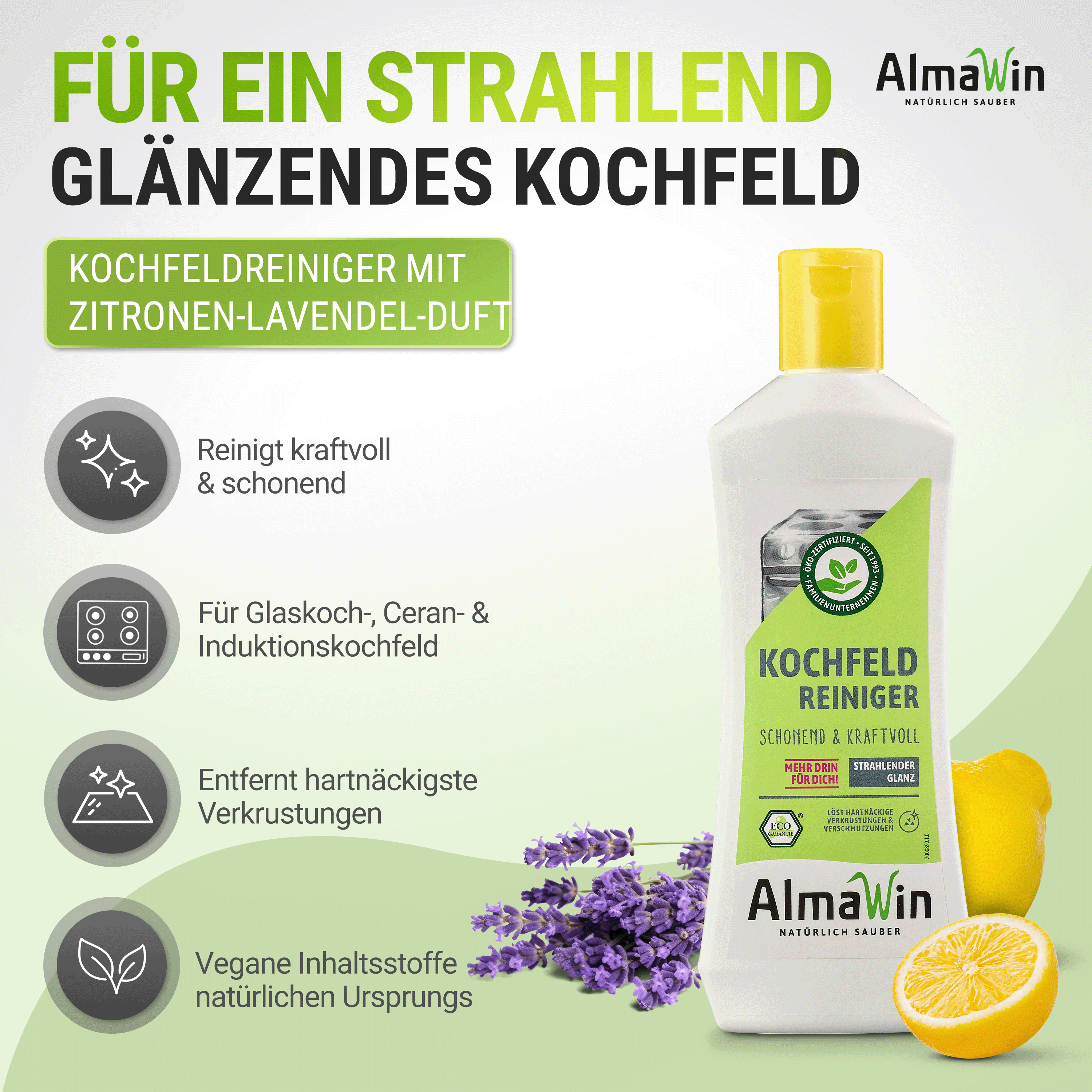 Kochfeld Reiniger
