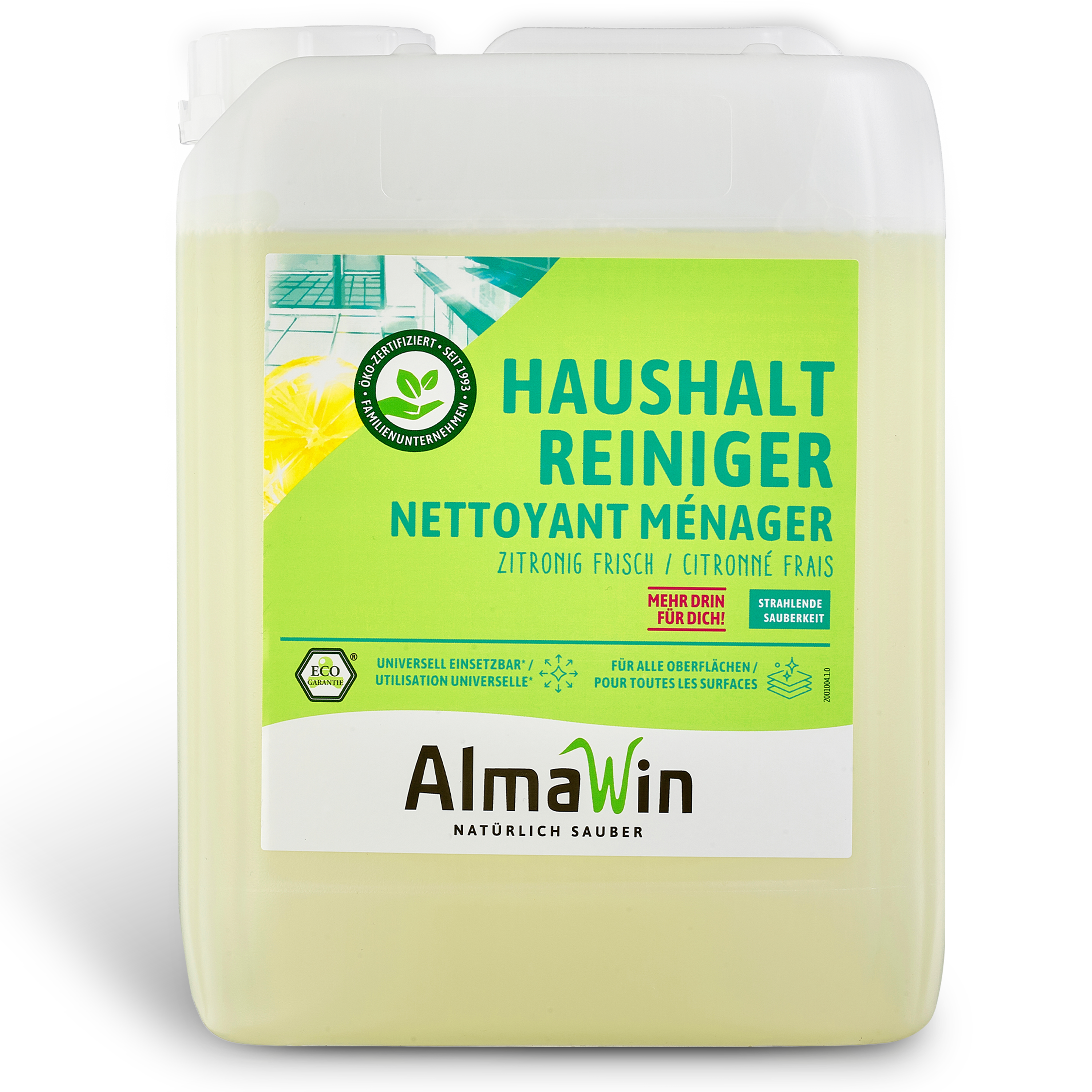 Haushalt Reiniger 5L