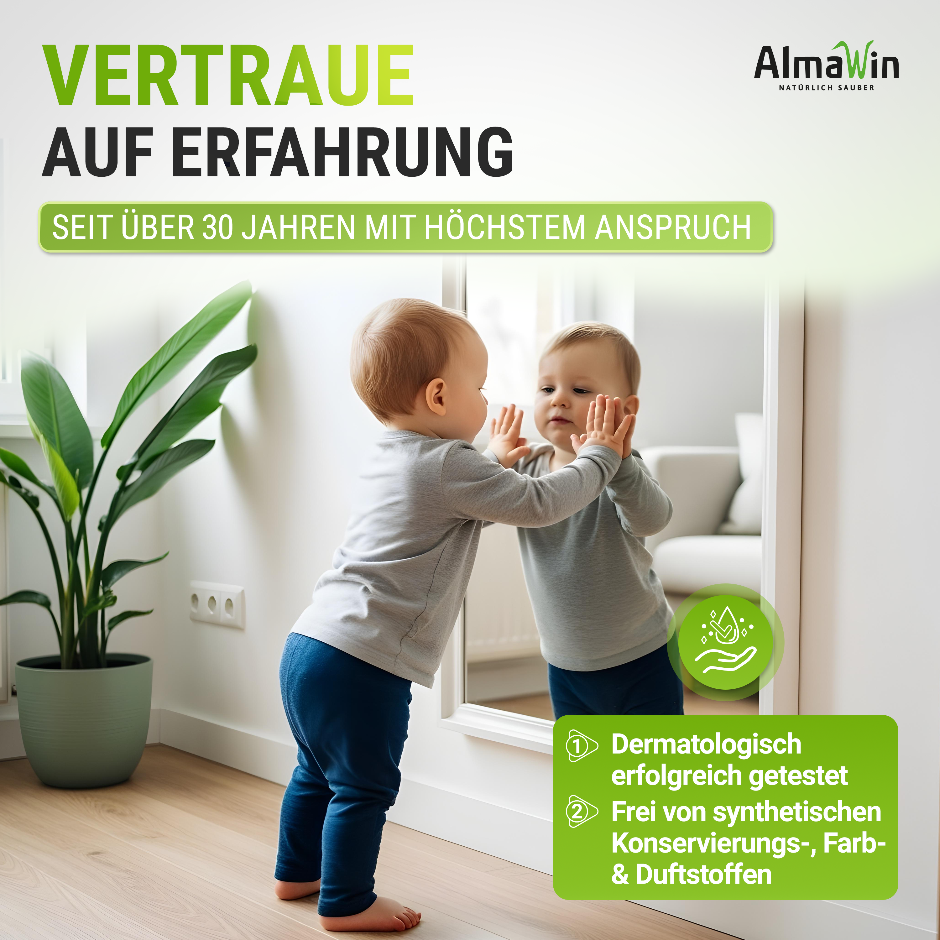 Glas & Fenster Reiniger