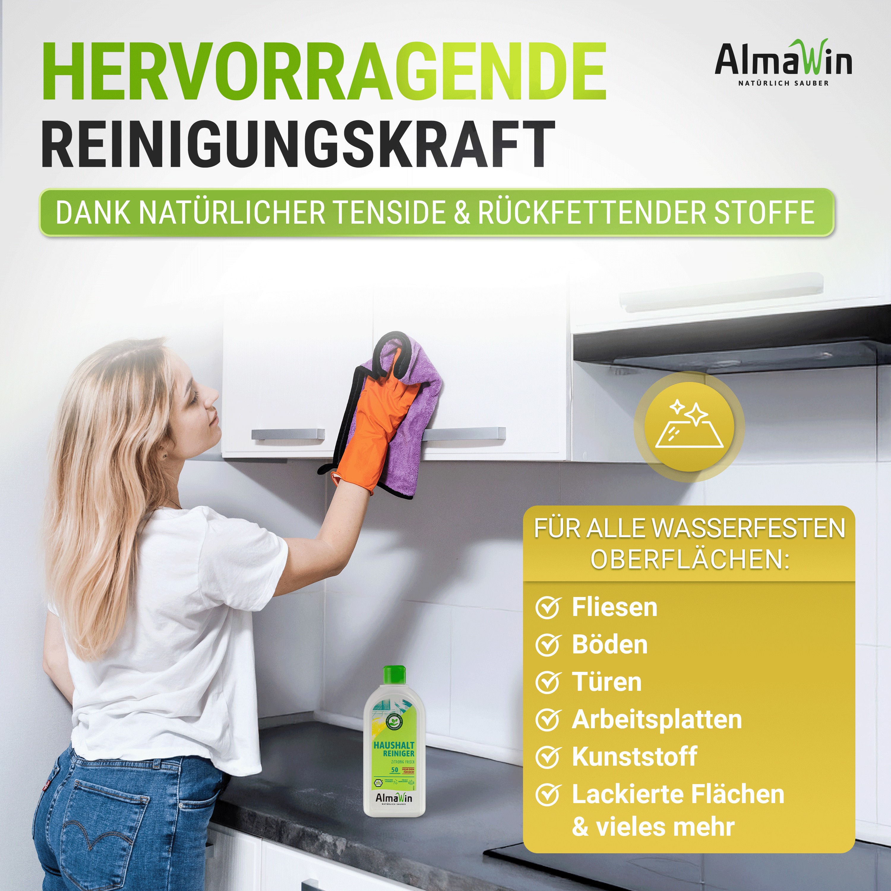 Haushalt Reiniger