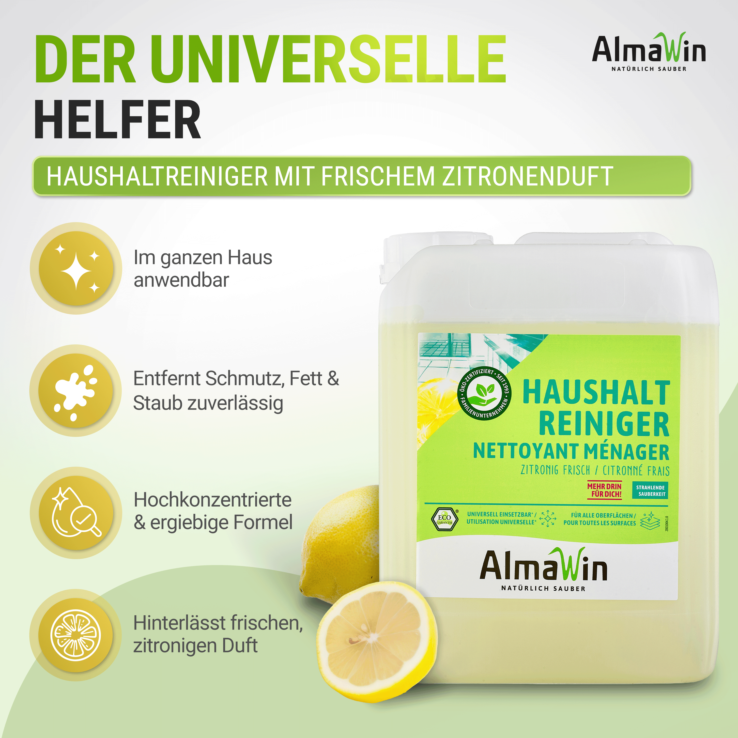 Haushalt Reiniger 5L