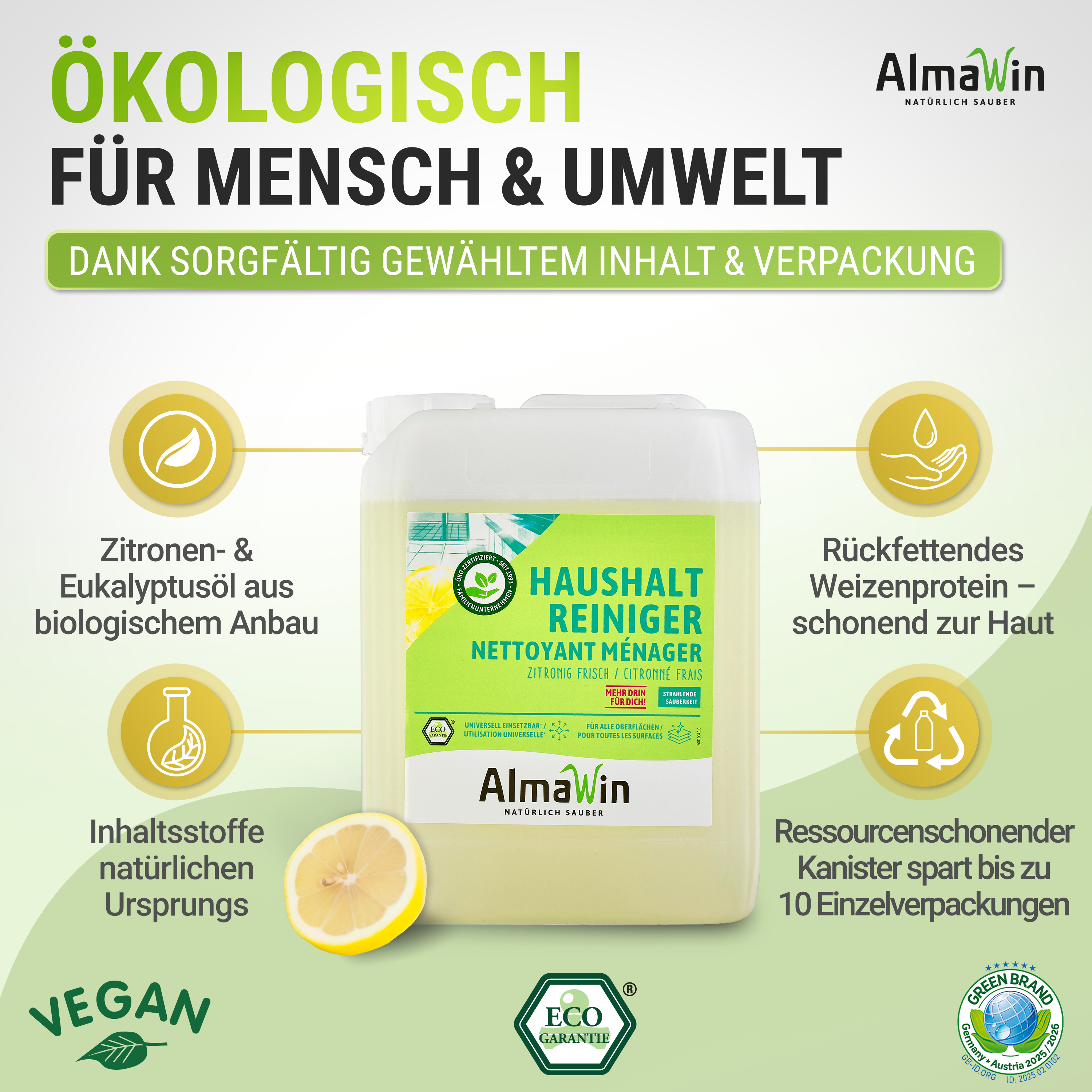 Haushalt Reiniger 5L